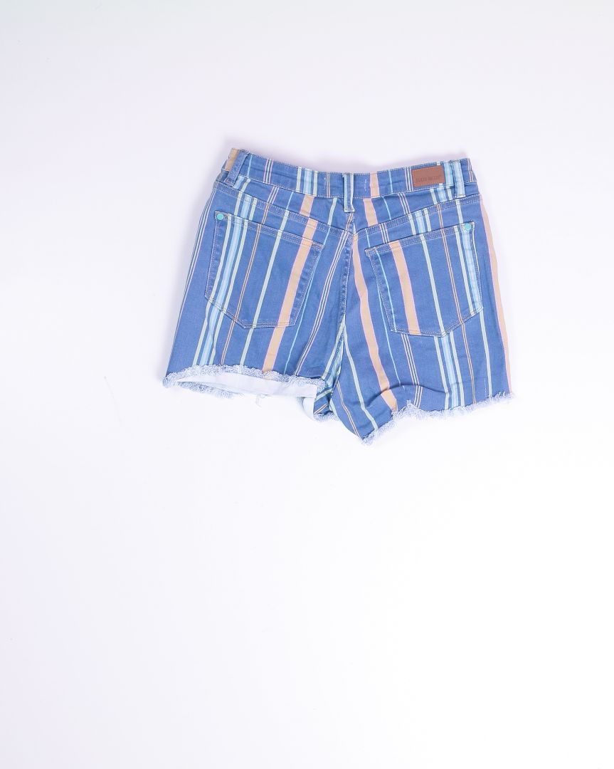 Blue Judy Blue High Rise Shorts, L