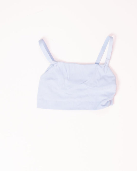 Blue Aerie Sports Bra, XL