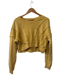 Urban Outfitters Cropped Sweatshirt Long Sleeves