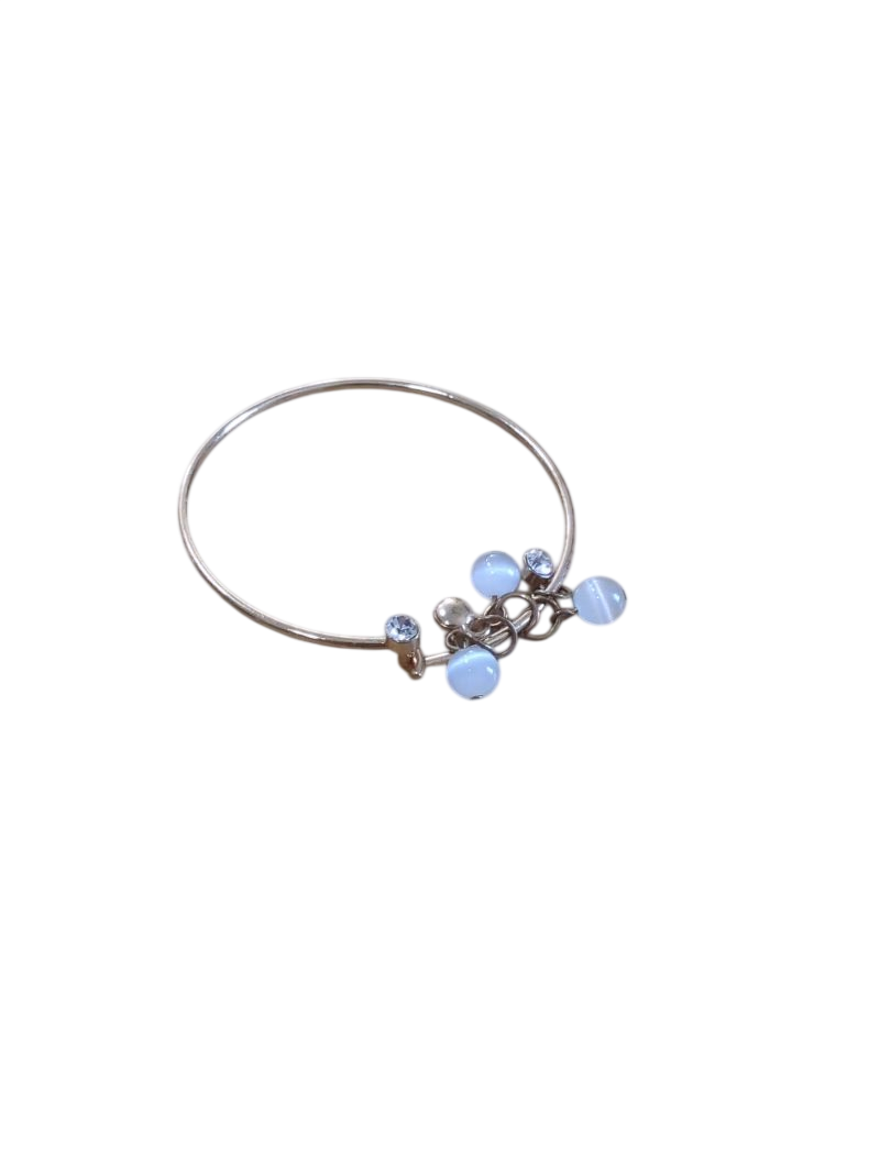 Paparazzi Charm Bracelet Jewelry