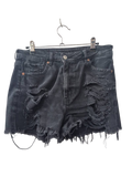 American Eagle Distressed Denim Shorts