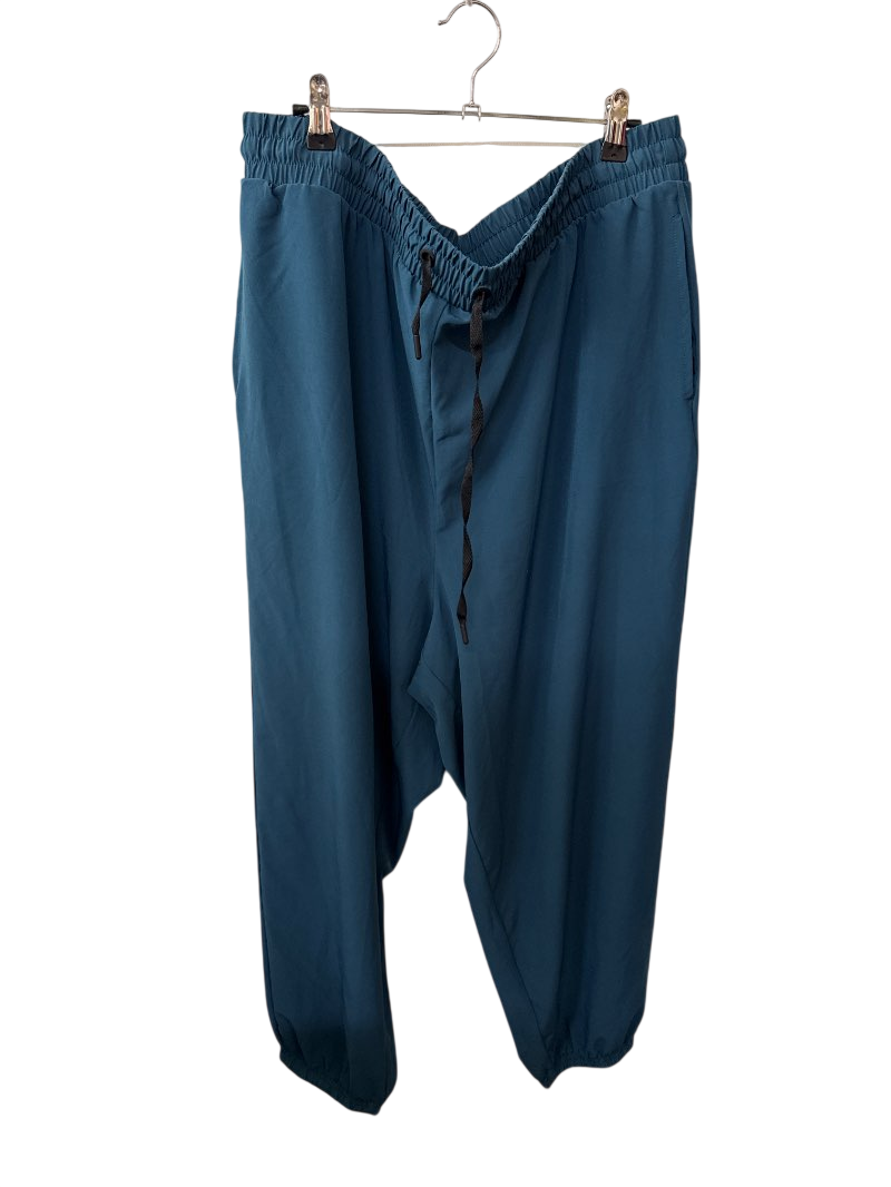Torrid Elastic Waist Pants Athletic