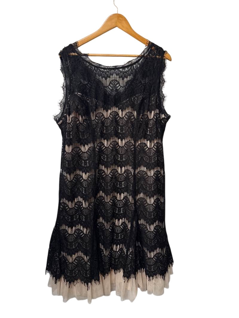 Dress Barn Sleeveless Lace Dresses