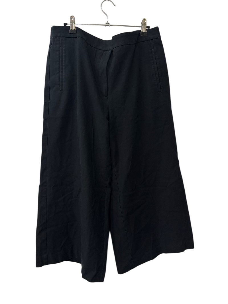 Ann Taylor Wide Leg Pants