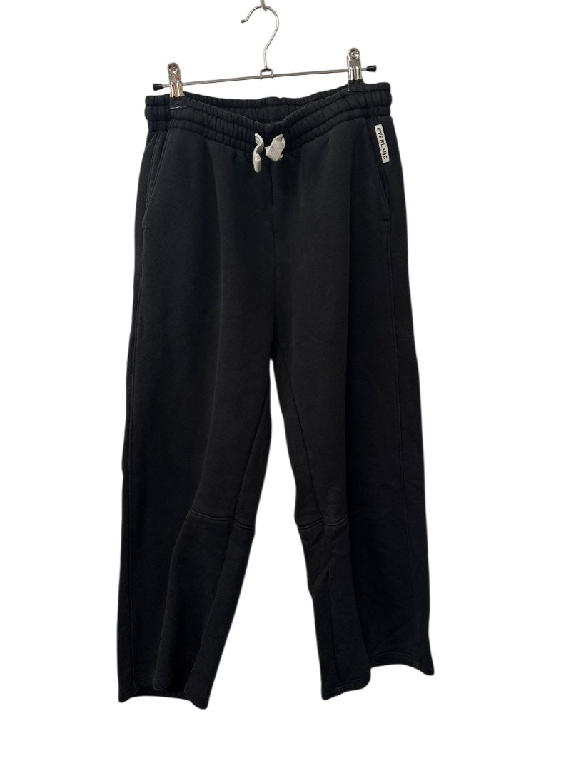 Everlane Jogger Sweatpants Pants