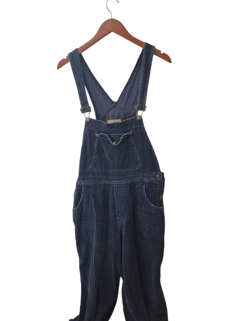 Express Vintage Overalls Vintage