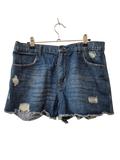 No Boundaries Distressed Denim Shorts