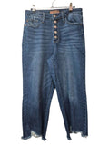 Judy Blue Frayed Hem Jeans