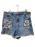 American Eagle Distressed Denim Shorts