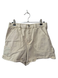 Pacsun High-Waisted Shorts