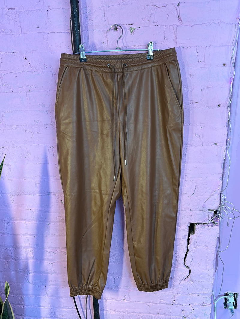 Brown A New Day Joggers, M