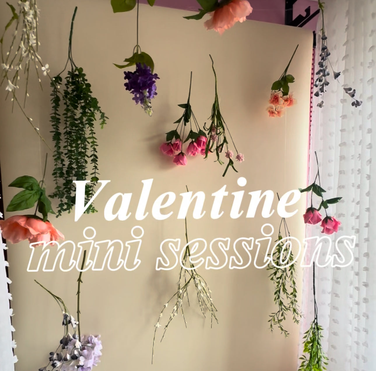 Valentines Day Mini Photo Sessions