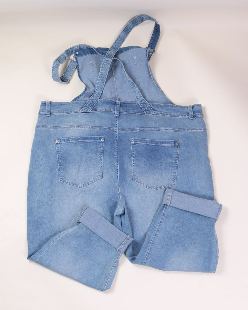 Lightwash Wallflower Denim Overalls, 3X