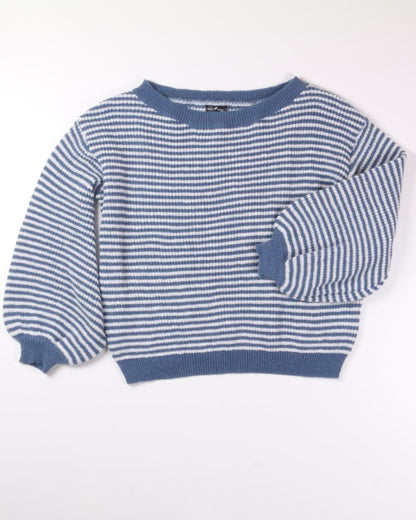 Blue Striped Emery Rose Sweater, L