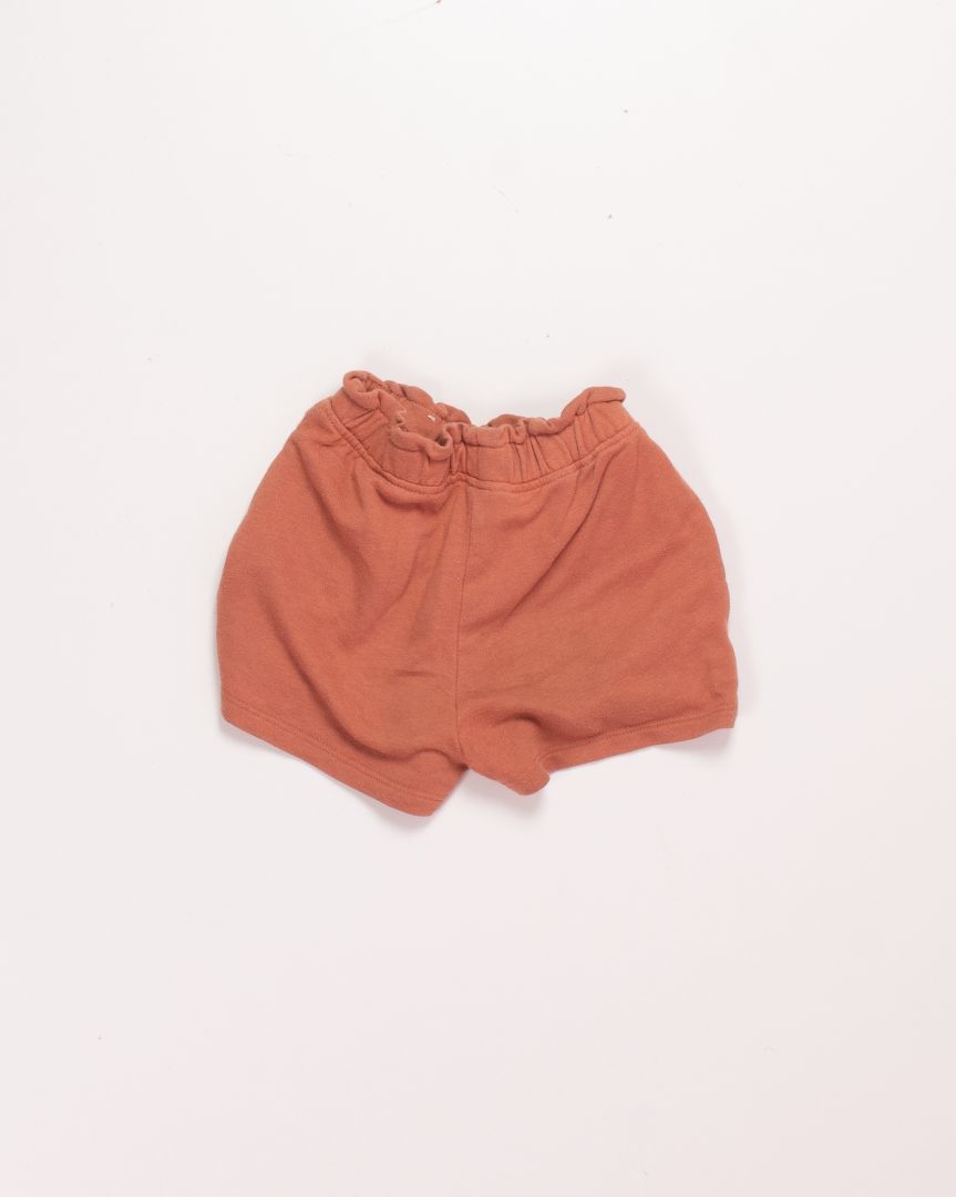 Orange Garanimals Shorts, 4T