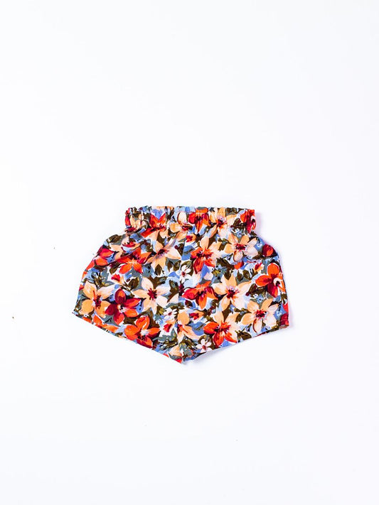 Multi Shein Shorts, 18-24M