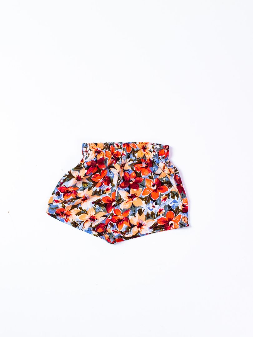 Multi Shein Shorts, 18-24M