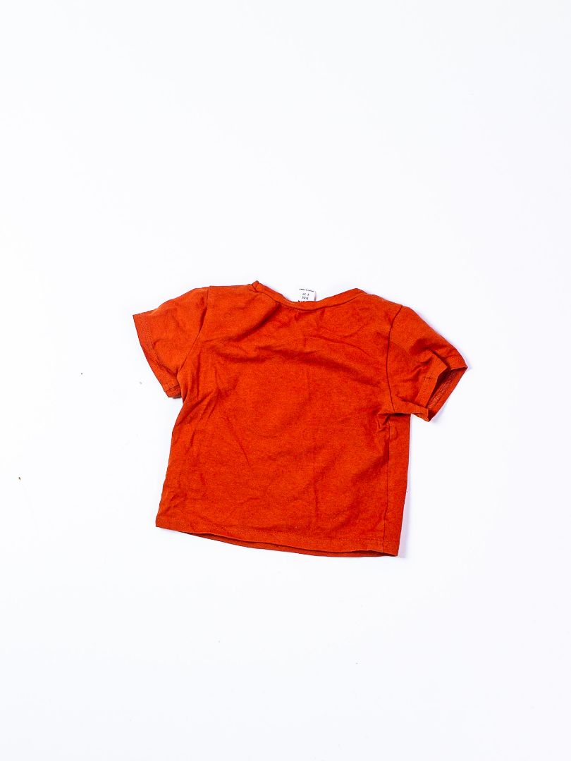 Brown Shein Graphic Tee, 2-3Y