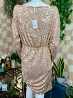 NWT Free People L/S Sequin Mini Dress, M
