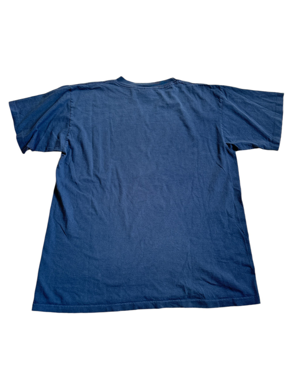 Blue Alore Graphic Tee, L