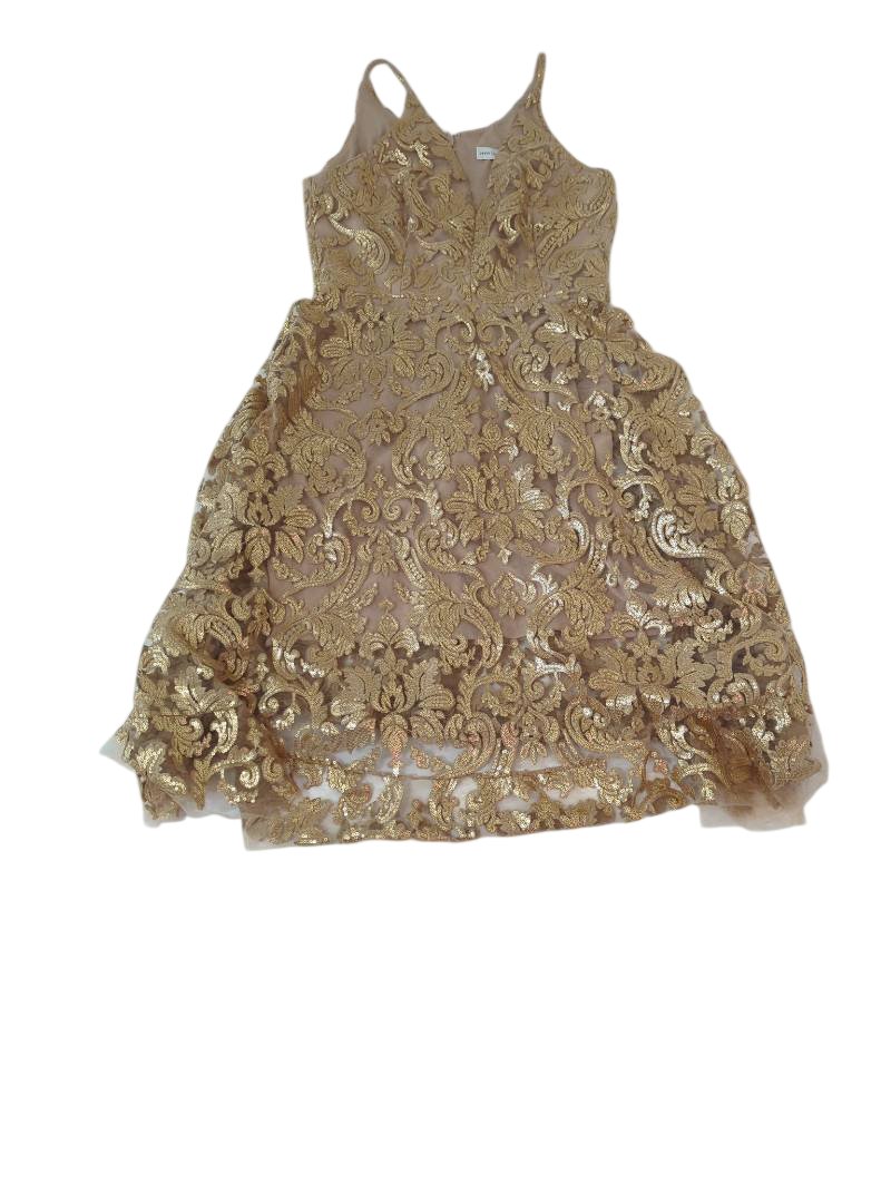 Dress the Population  Lace Overlay Dresses