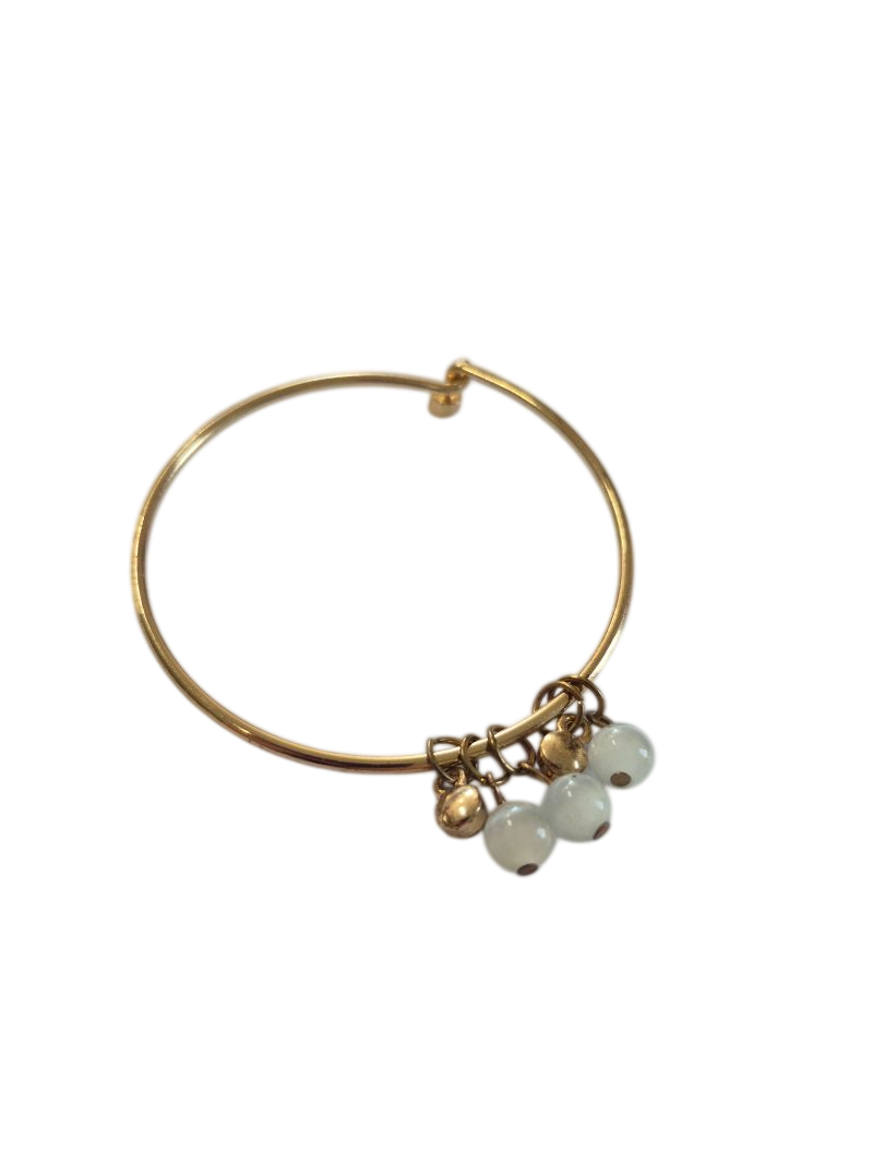 Charm Bracelet Jewelry