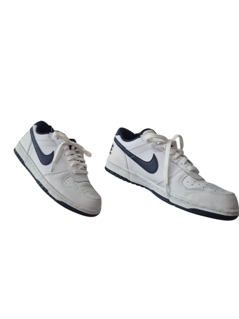 Nike Low Top Sneakers