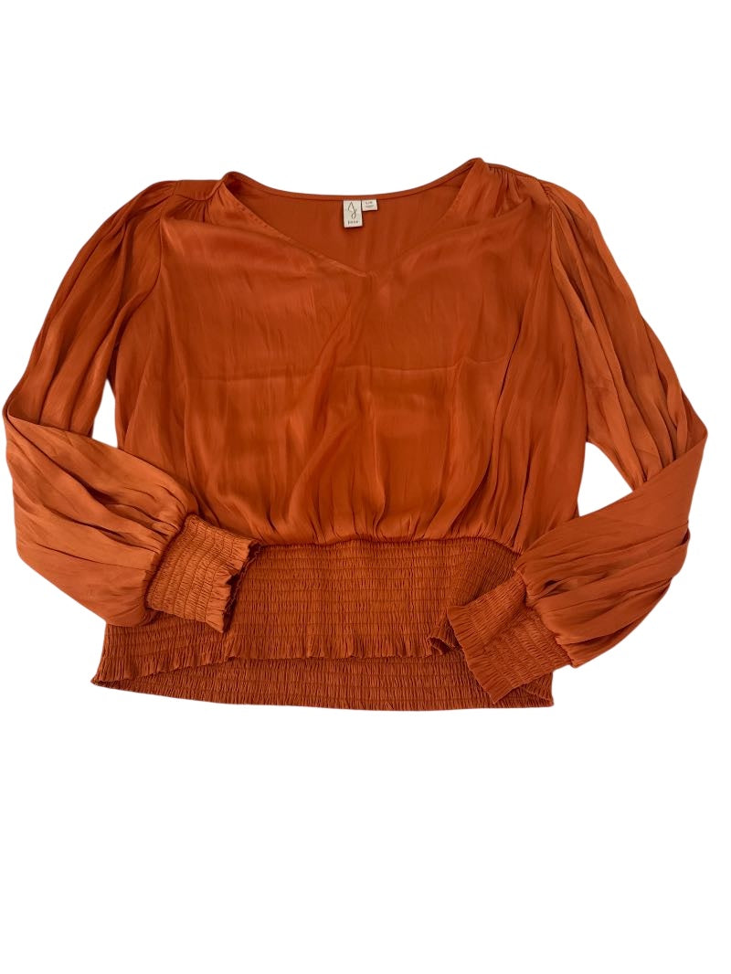Joie V-Neck Blouse Long Sleeves