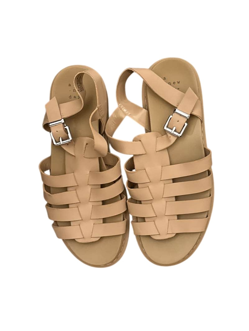 A New Day Strappy Buckle Sandals