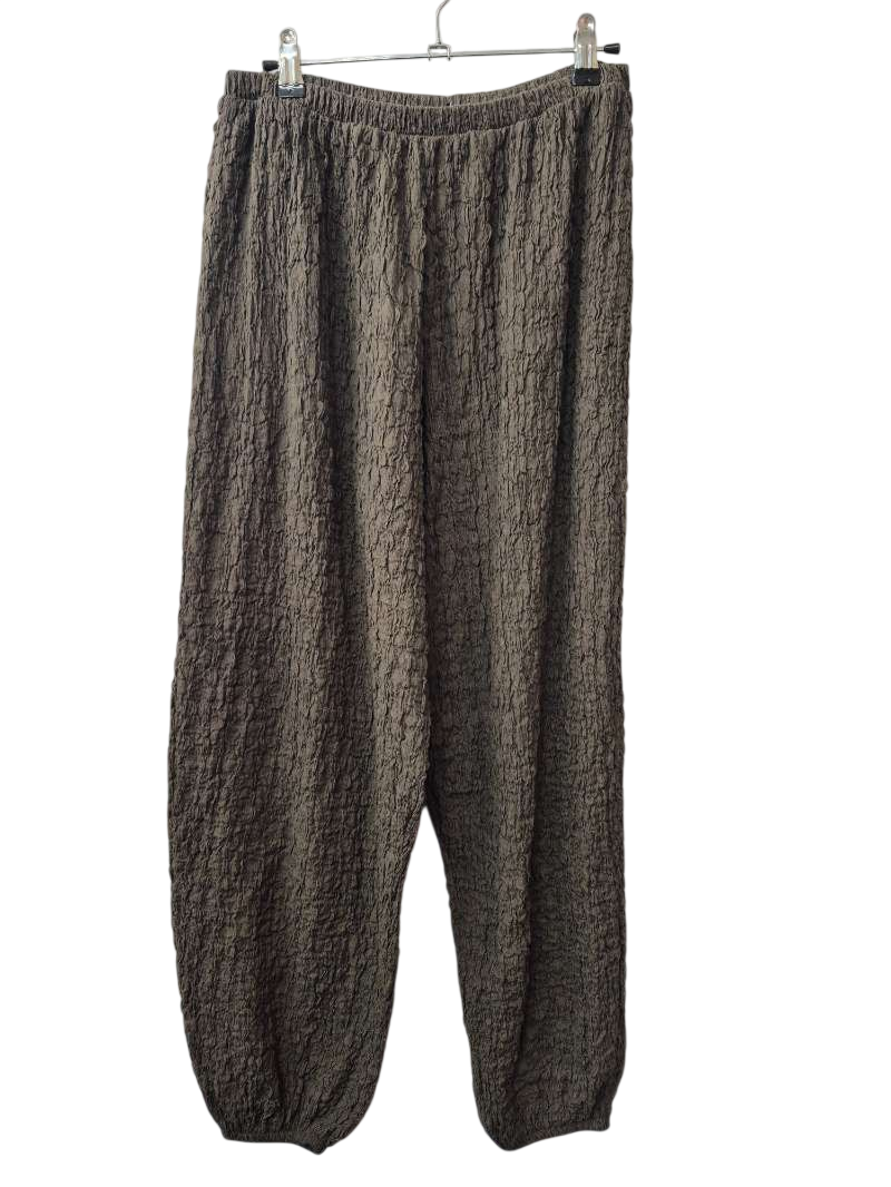 Zara Elastic Waist Pants