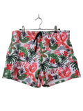 Tropical Print Shorts Swimwear