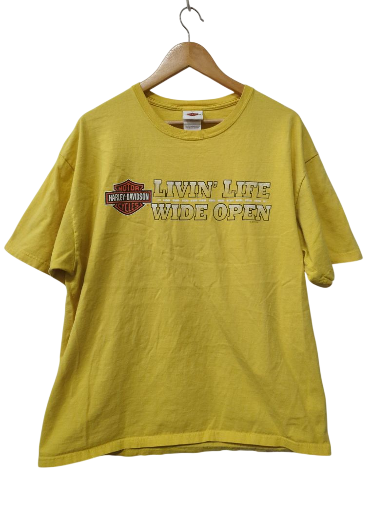 Harley Davidson Vintage Graphic Tee Vintage