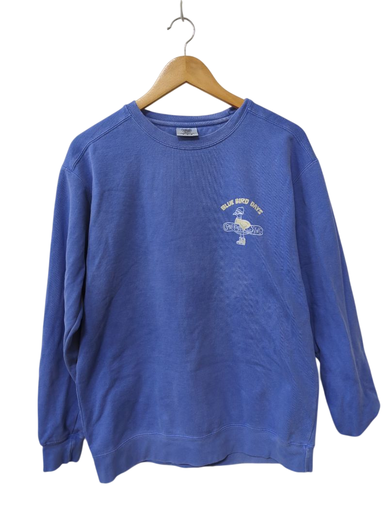 Comfort Colors Crew Neck Sweatshirt Long Sleeves
