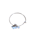 Paparazzi Dangling Charm Jewelry