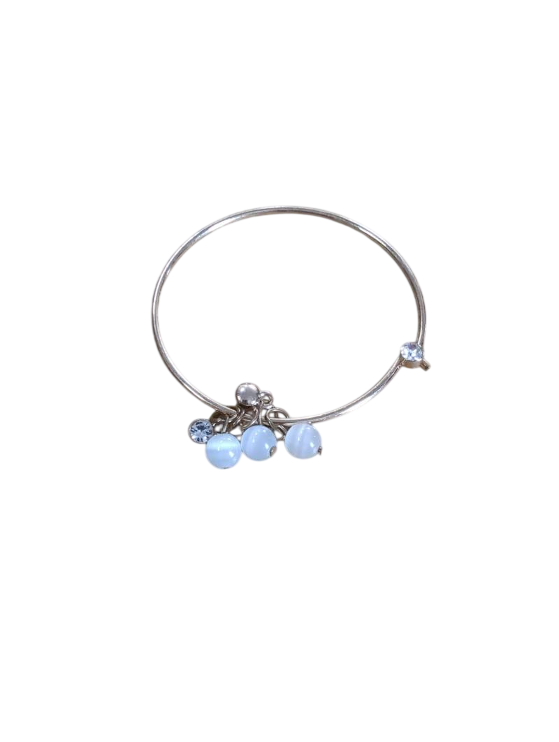 Paparazzi Dangling Charm Jewelry