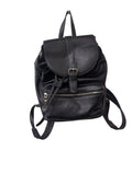 Cameleon Backpack Style Handbags