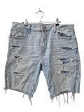 American Eagle Distressed Denim Shorts