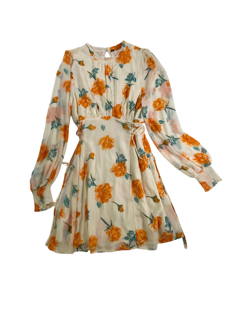 Free people  Floral print mini dress Dresses