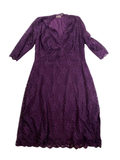 Kiyonna Lace A-Line Dress Dresses