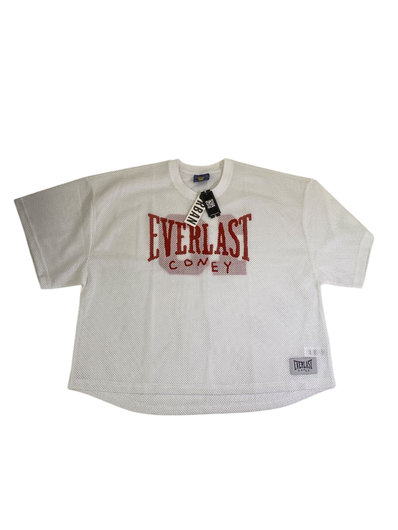 Urban Outfitters Mesh Boxy Tee Short Sleeves