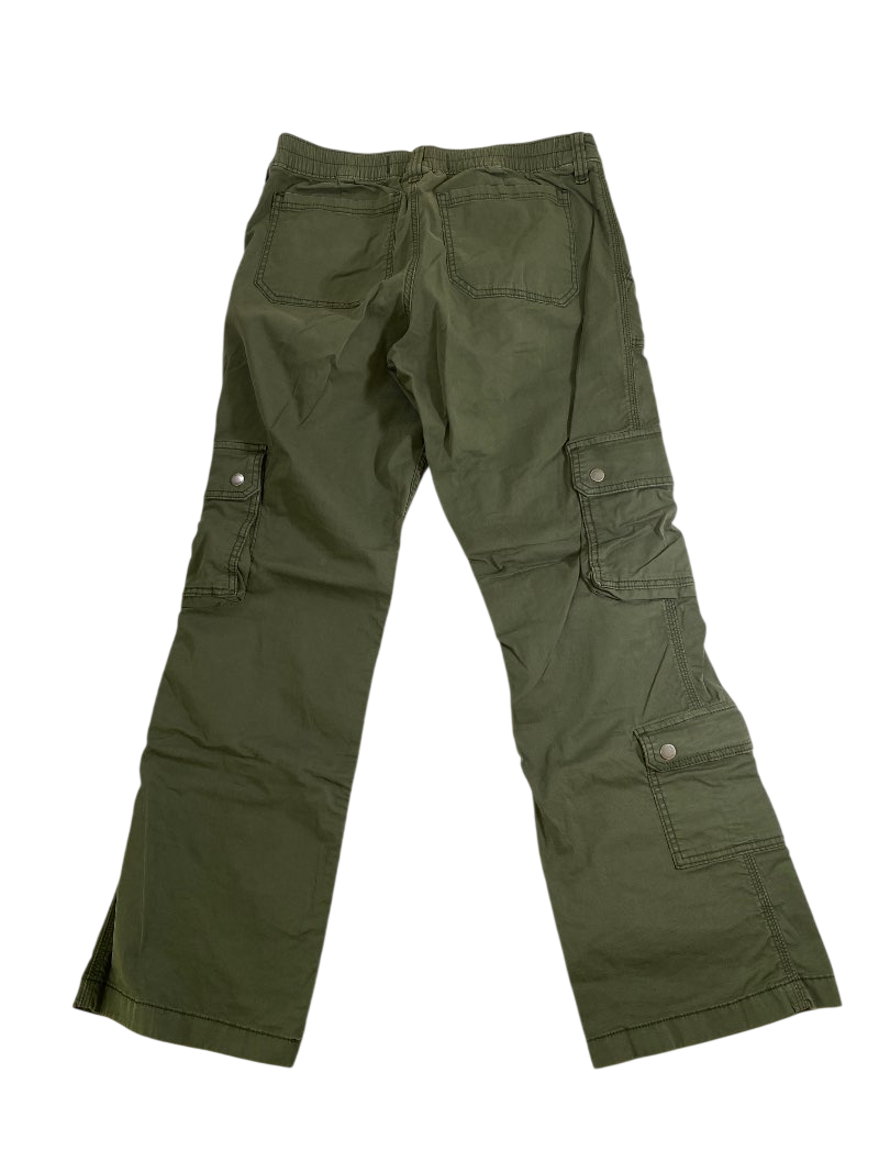 Hollister Cargo Pants Pants