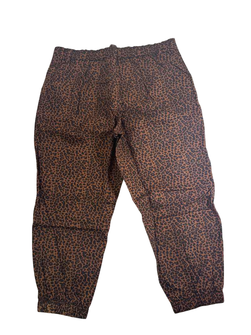 Halara  Elastic Cuff Joggers Pants