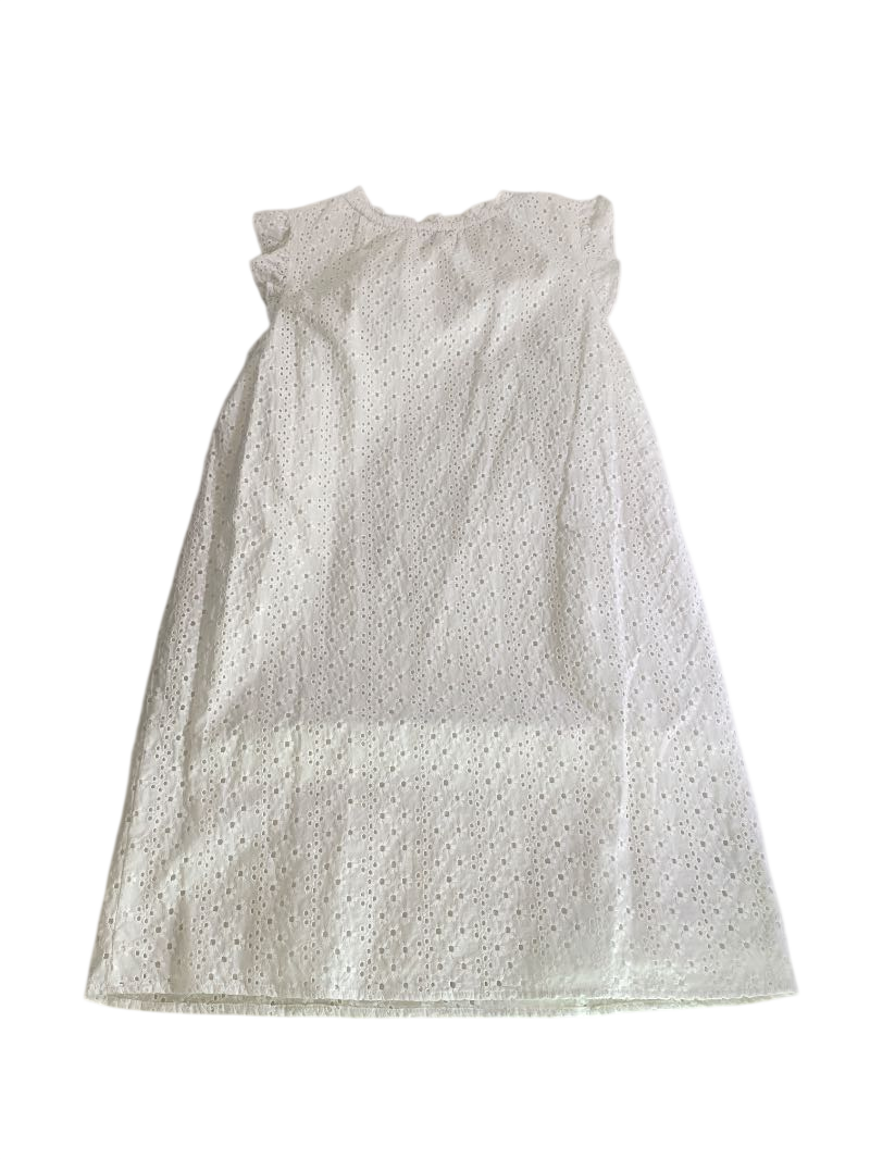 Loft Eyelet Flutter-Sleeve Dresses
