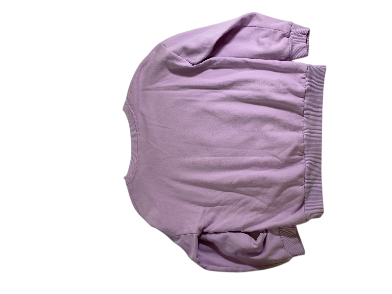 Strawberry Shortcake  Graphic crewneck sweatshirt Long Sleeves