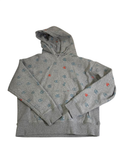 Champion Graphic Hoodie Long Sleeves