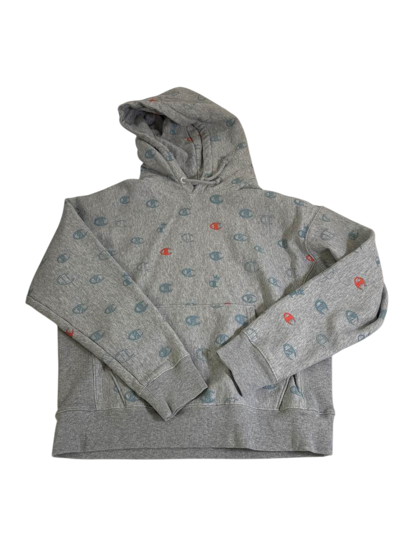 Champion Graphic Hoodie Long Sleeves