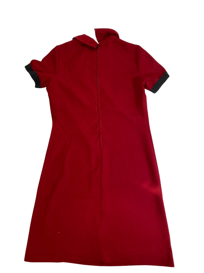 Forever Young  Vintage Collared Dress Vintage