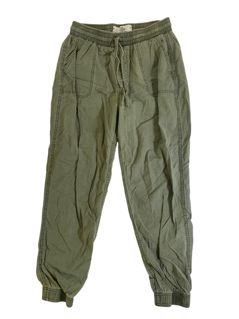 Hollister  Elastic cuff joggers Pants