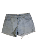 H&M Frayed Hem Shorts