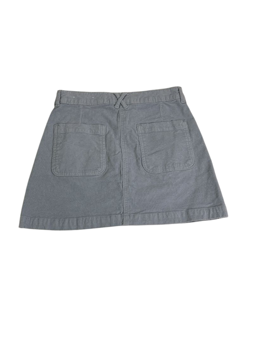 American Eagle Button-front mini skirt Skirt